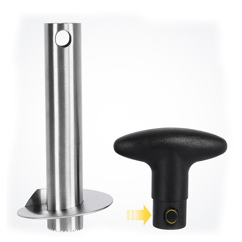 Éplucheur d'ananas en acier in - Pineapple Corer Slicer avis et prix