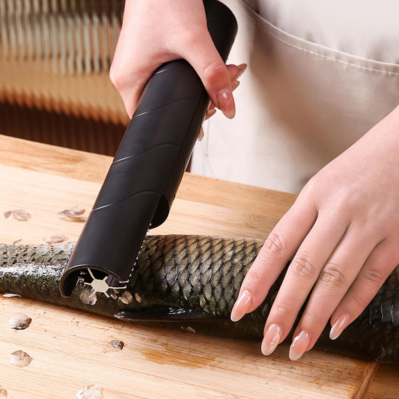Écailleur de poisson sans fil, - Meal Prep Restaurant avis et prix
